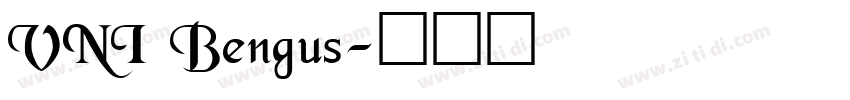 VNI Bengus字体转换